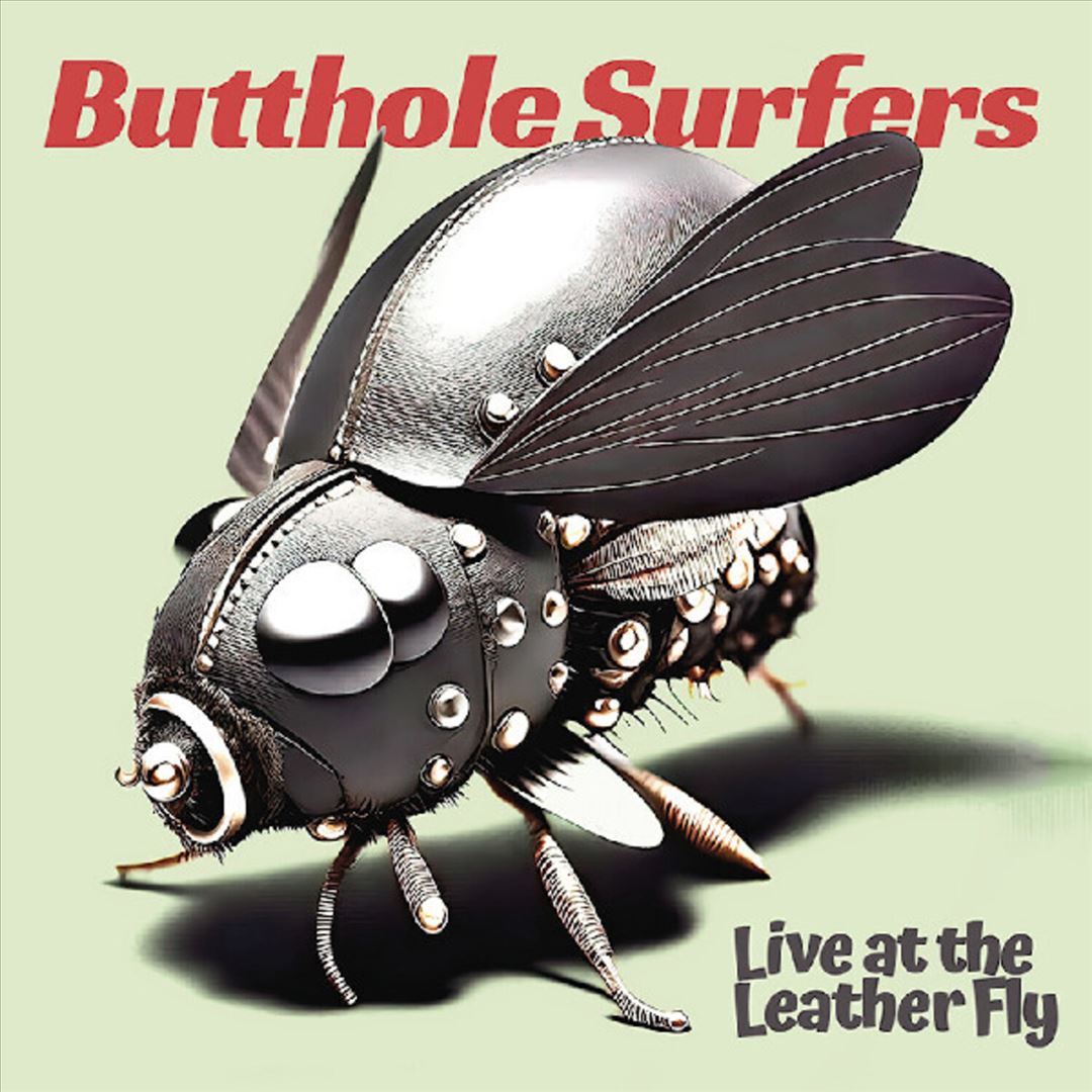Live at the Leather Fly cover art