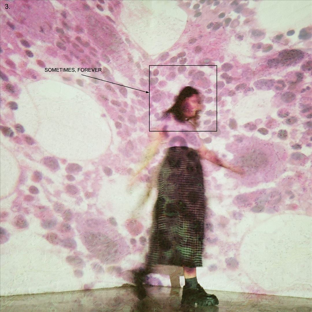 Sometimes, Forever cover art