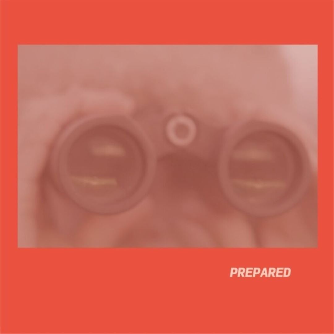 Prepared - Rose Pink Vinyl cover art