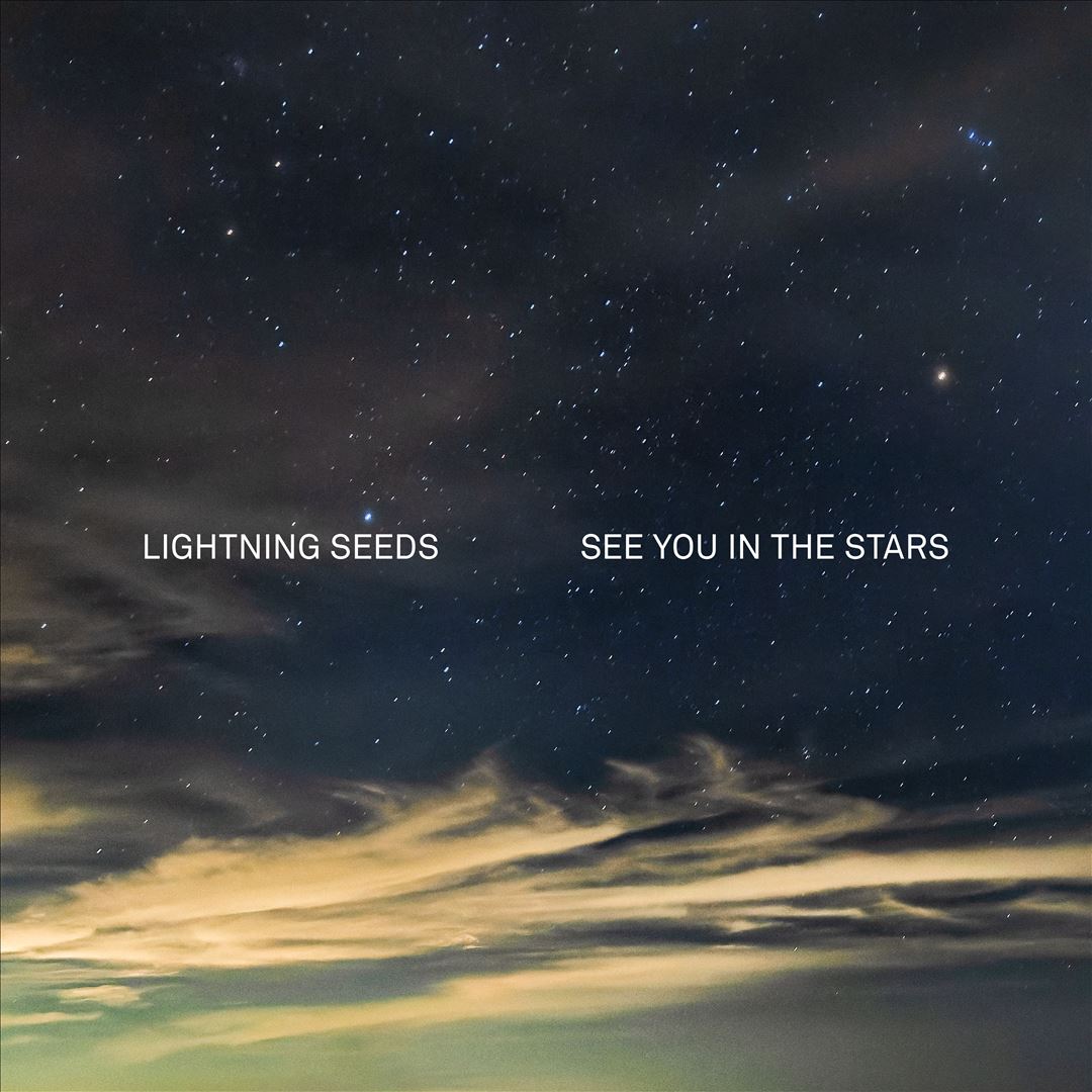 See You in the Stars cover art
