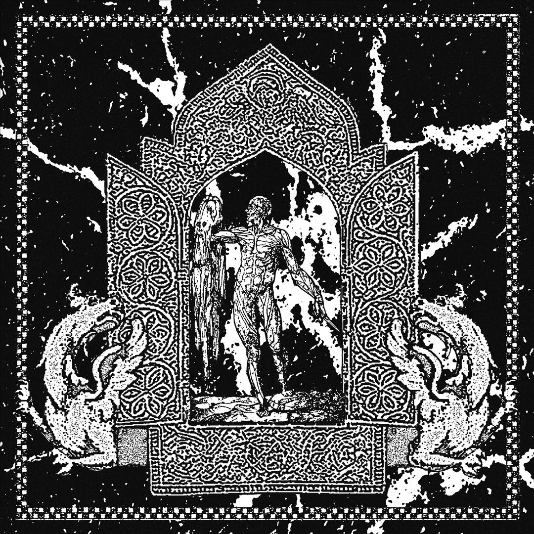 Eterna Lotta cover art