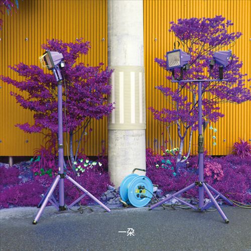Ichida cover art
