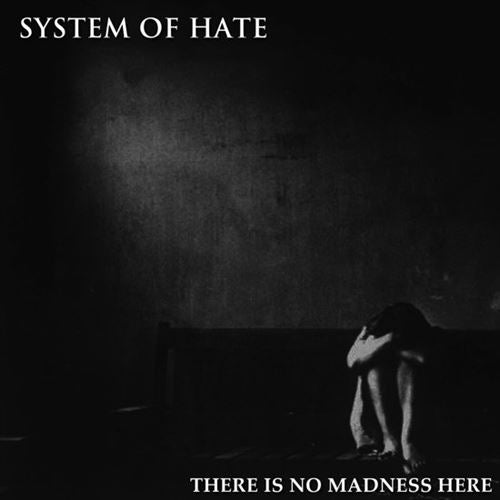There Is No Madness Here cover art