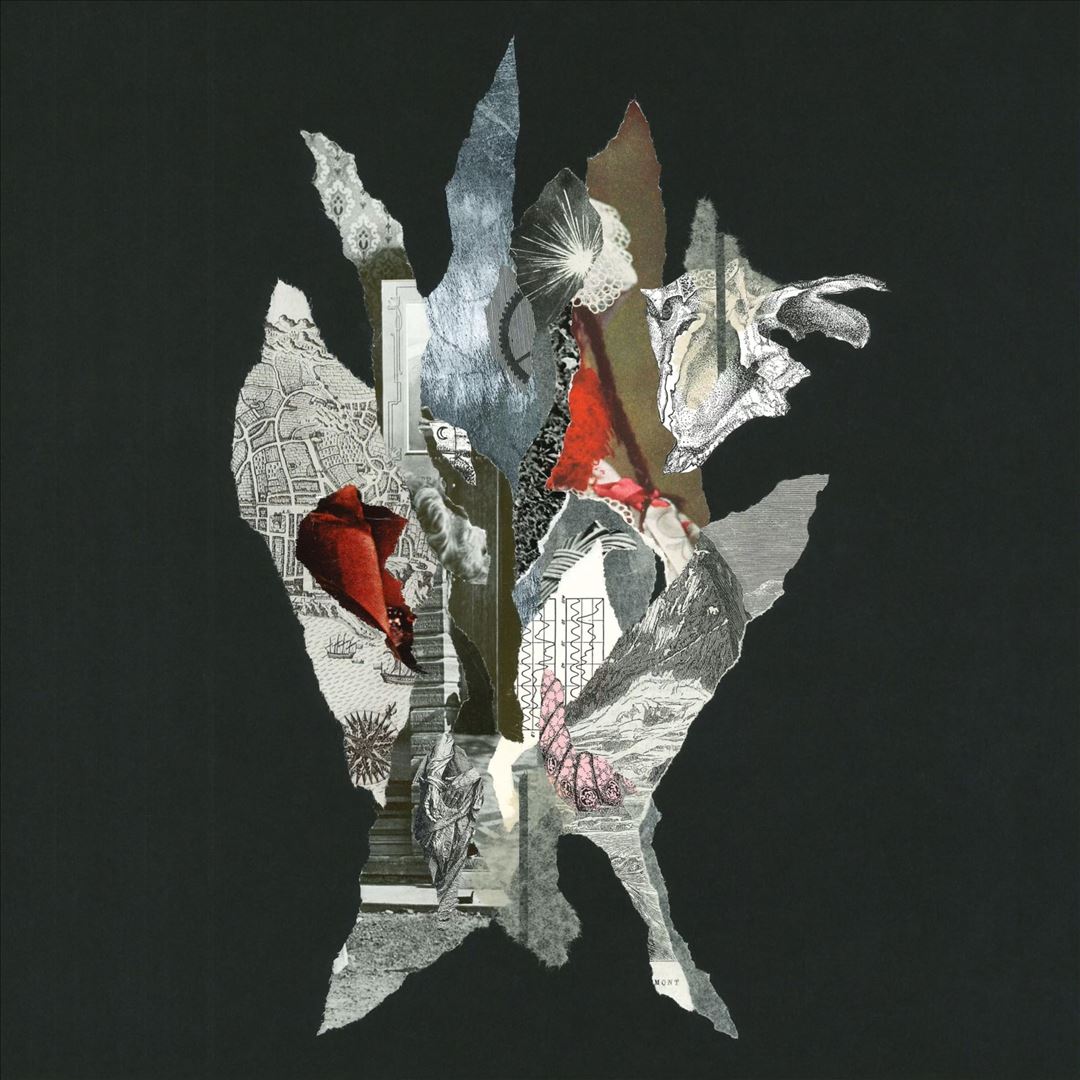 Gravity of Gold cover art