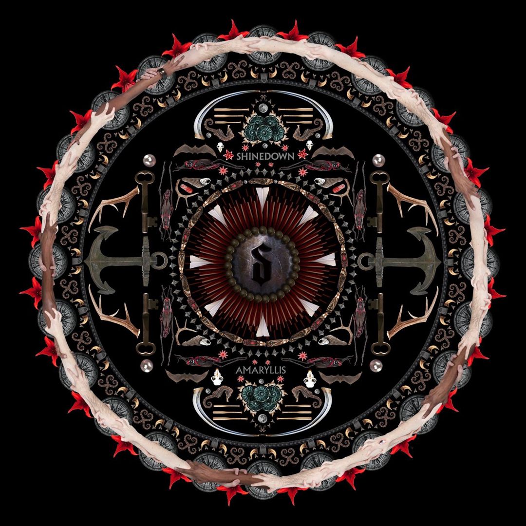 Amaryllis cover art