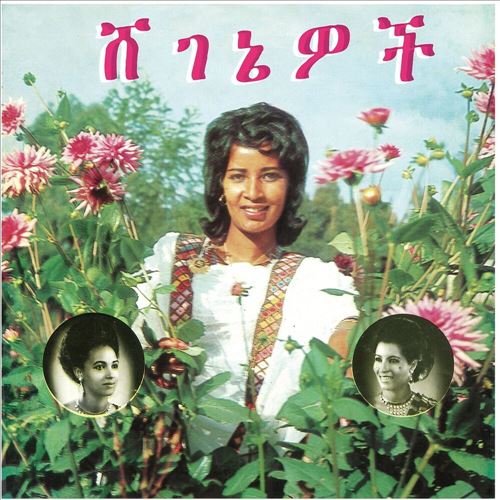 Beauties cover art