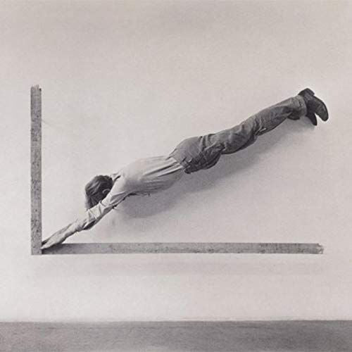 Insignificant Whip cover art