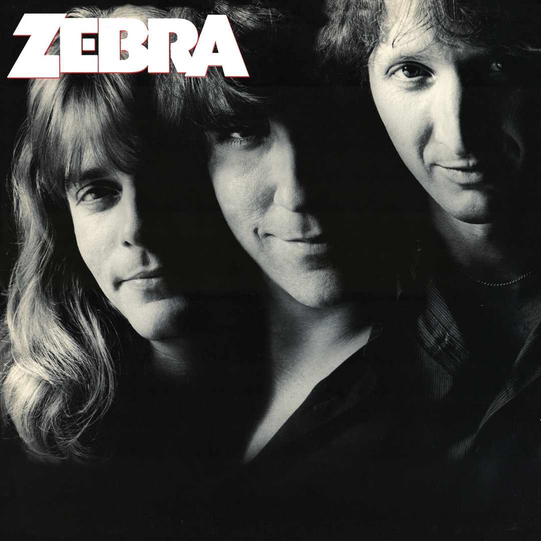 Zebra cover art