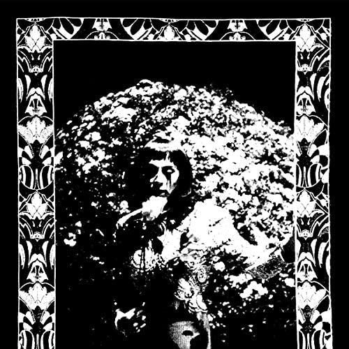 Model Express cover art