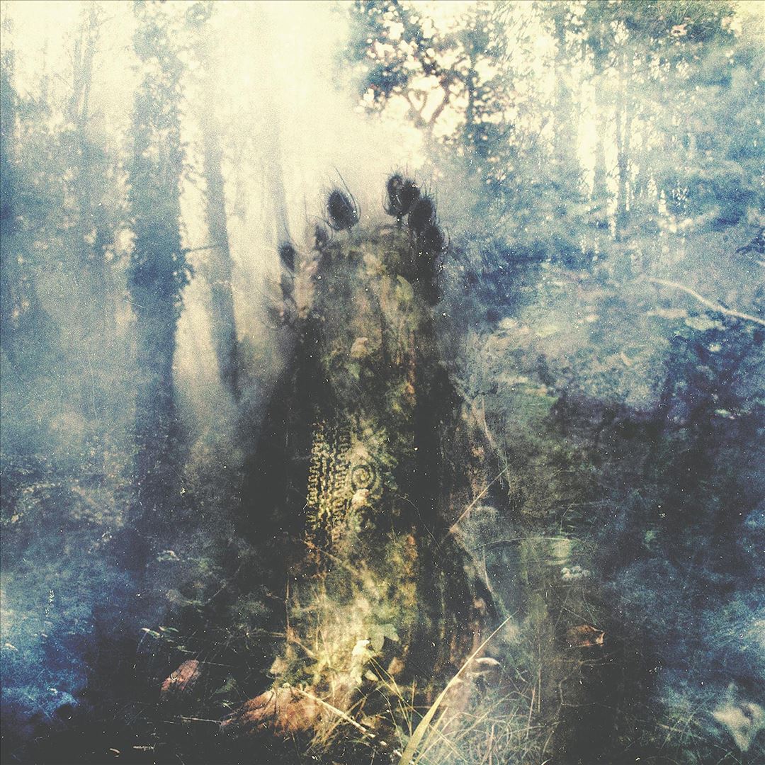 Wistful cover art