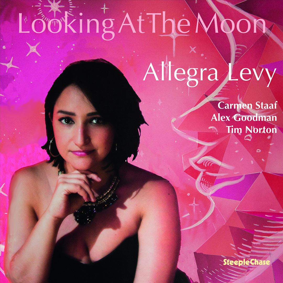 Looking at the Moon cover art