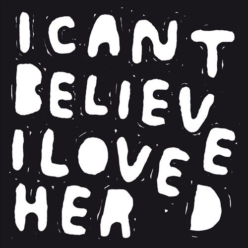 I Can't Believe I Loved Her cover art