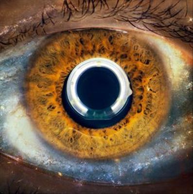 Aurora cover art
