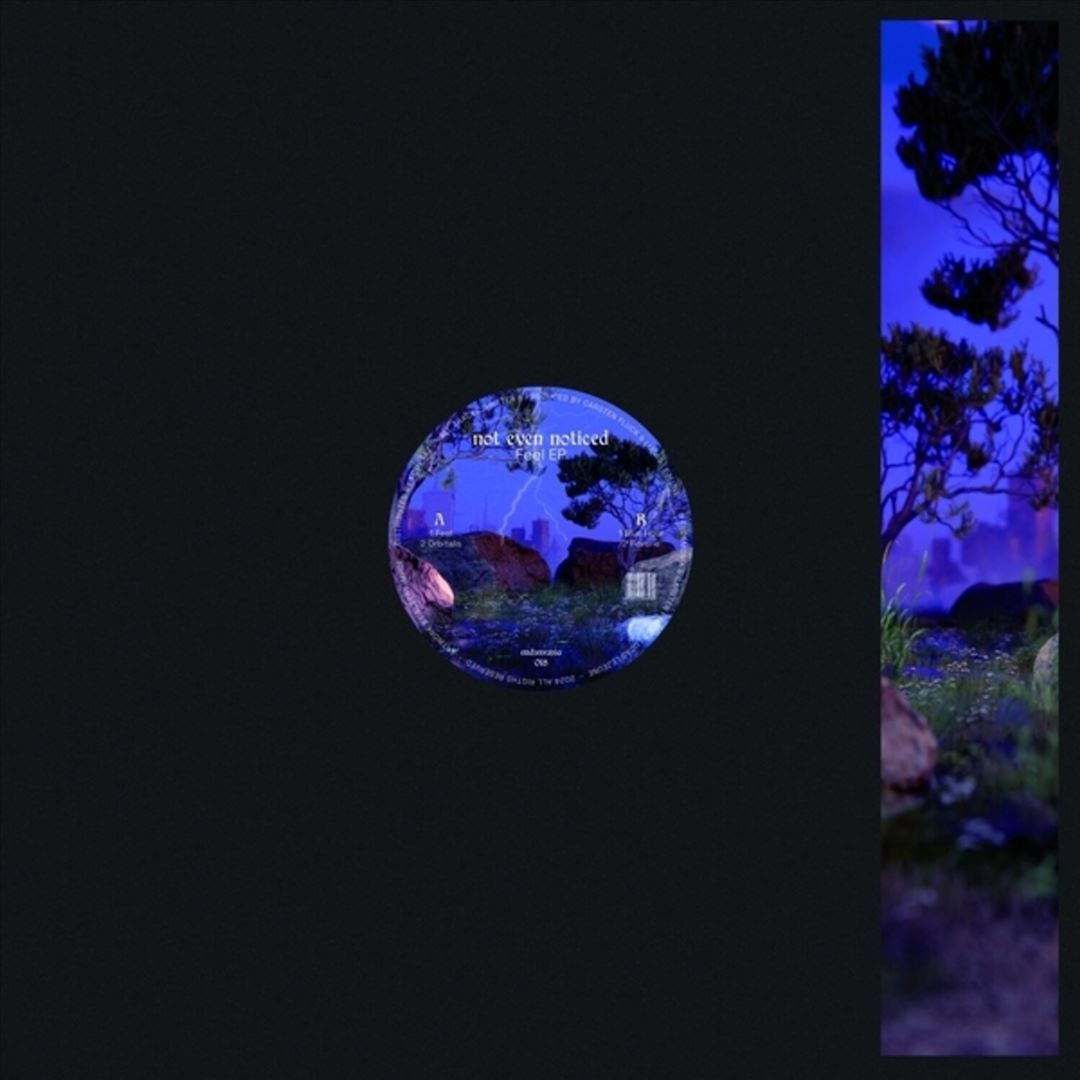 Feel cover art