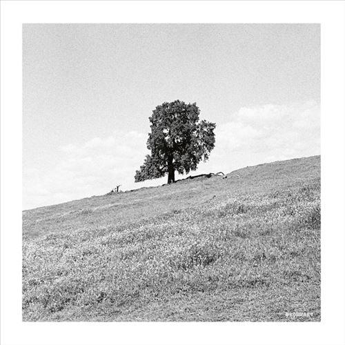 Cornered cover art
