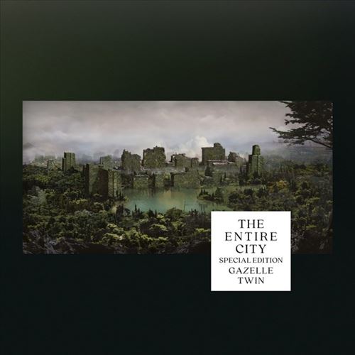 Entire City cover art