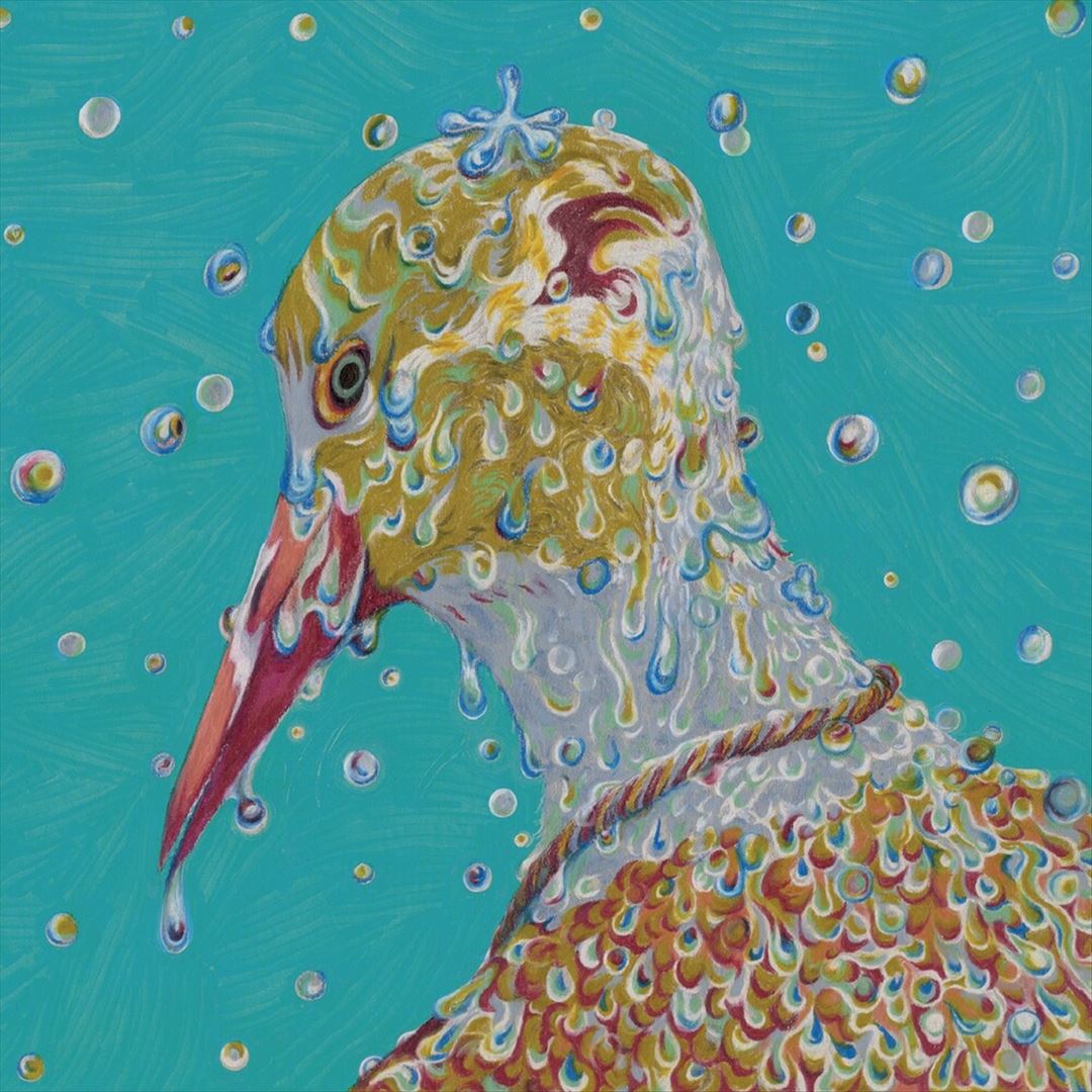 Morning Ritual cover art