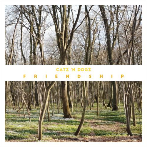 Friendship cover art