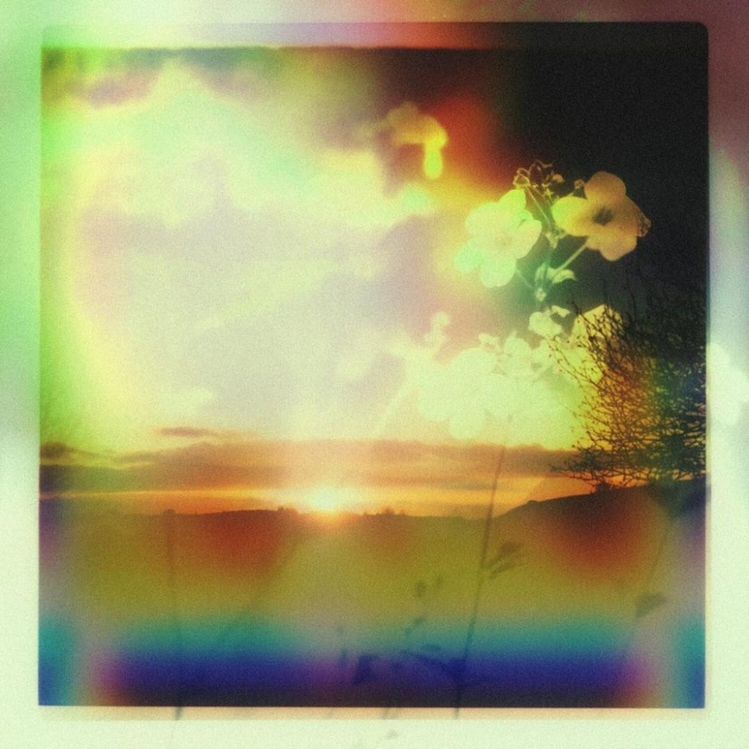 Sage cover art
