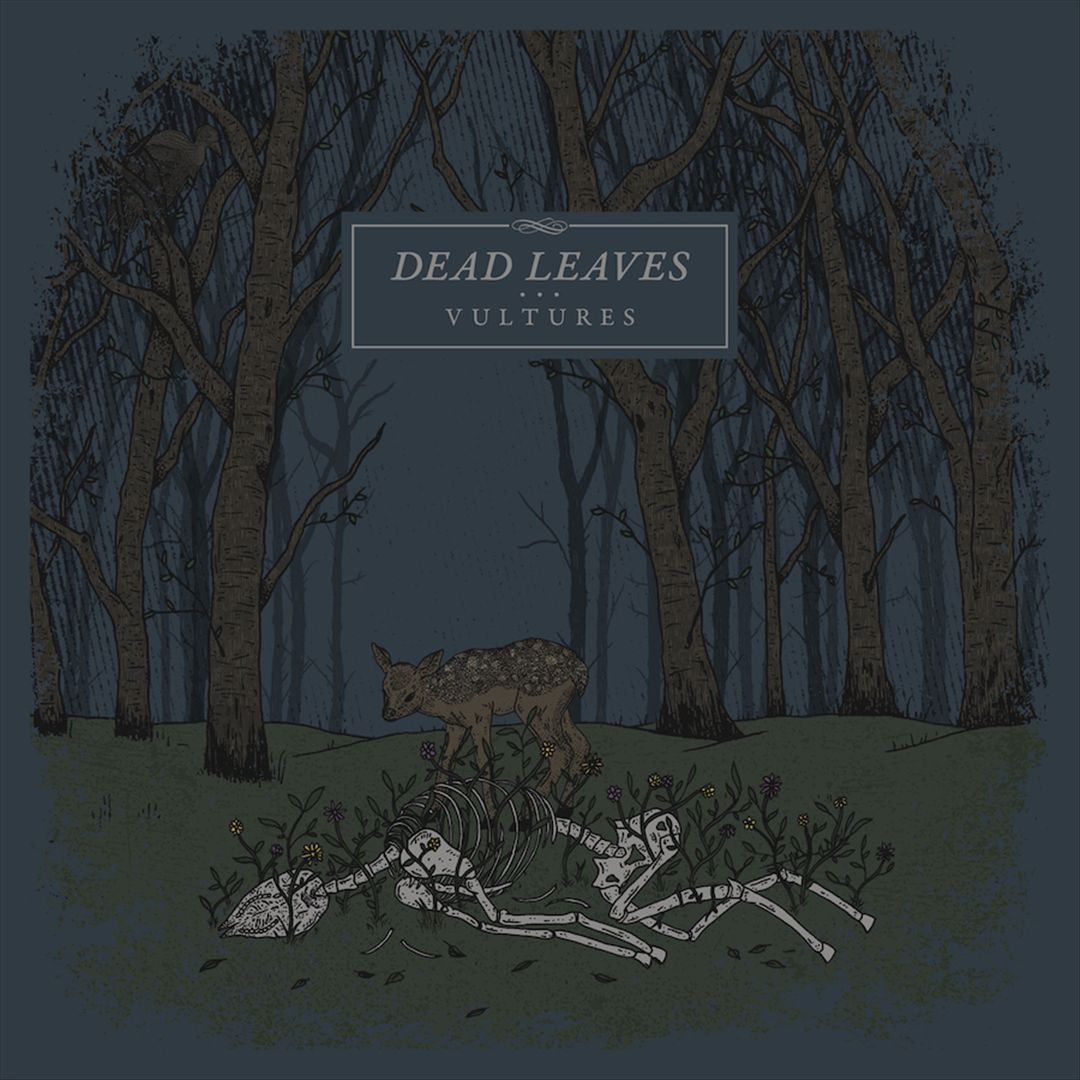 Vultures cover art