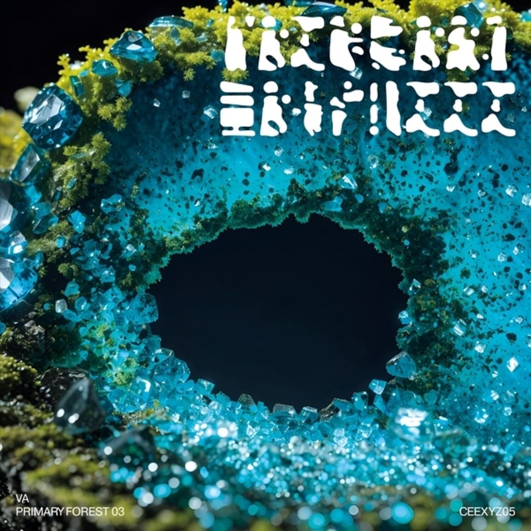 Primary Forest 03 cover art