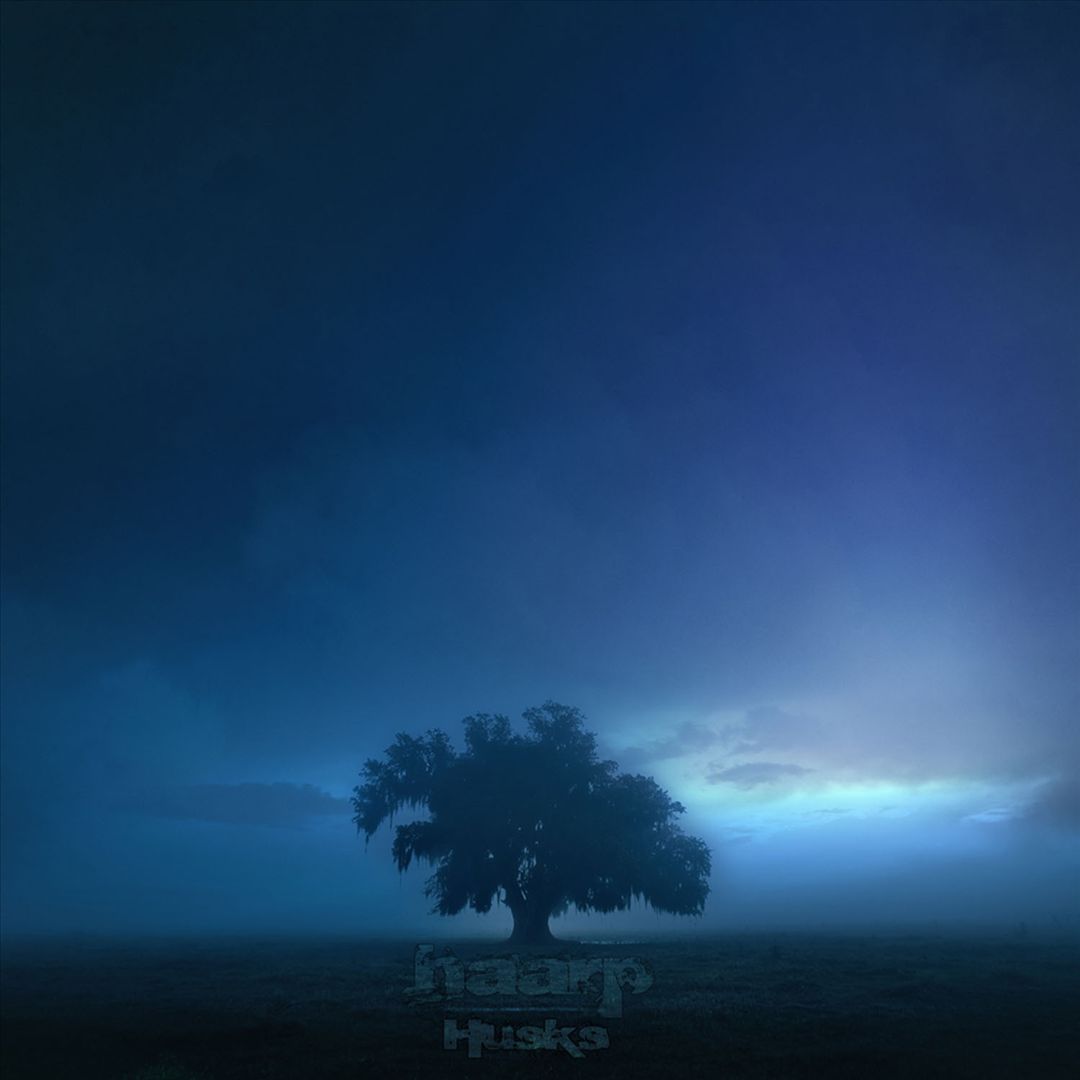 Husks cover art