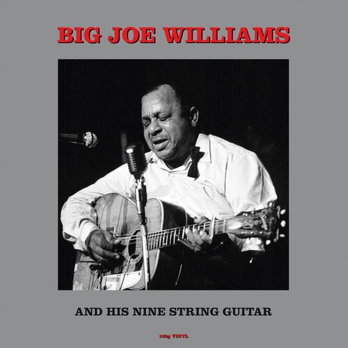 Mississippi's Big Joe Williams and His Nine-String Guitar cover art