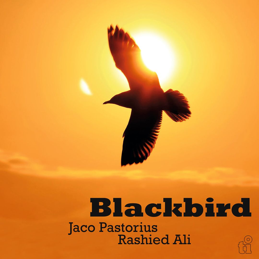 Black Bird cover art