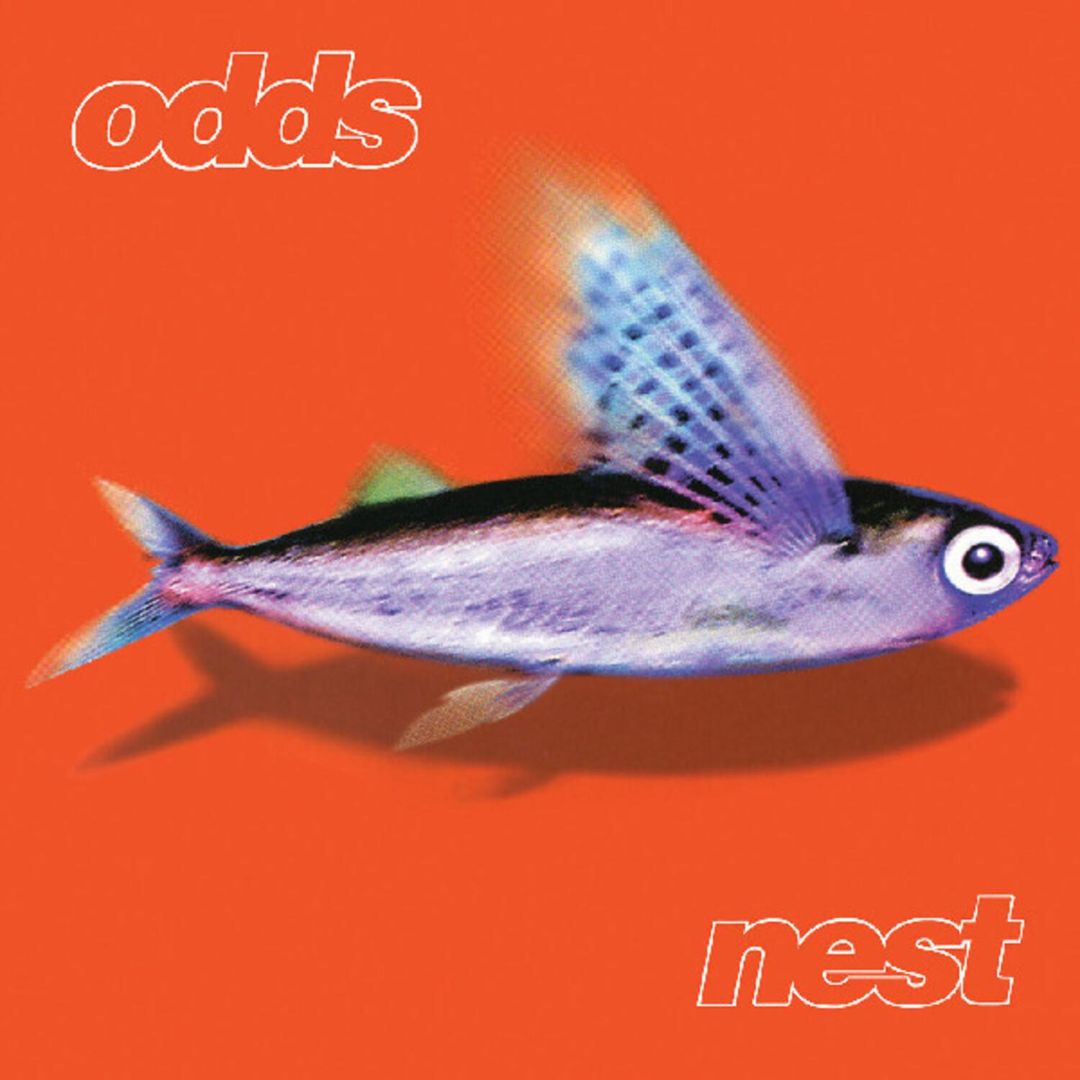 Nest cover art