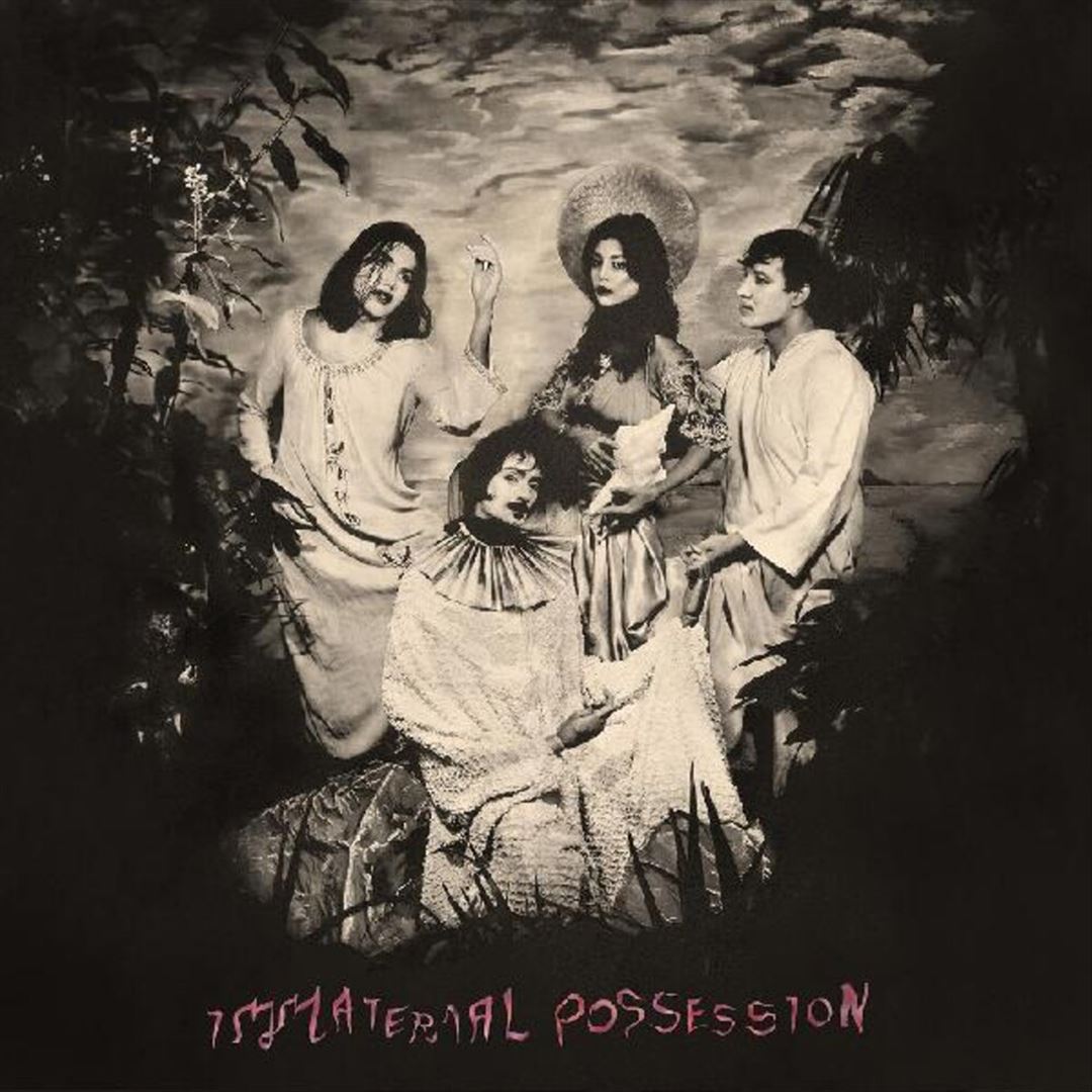 Immaterial Possession cover art