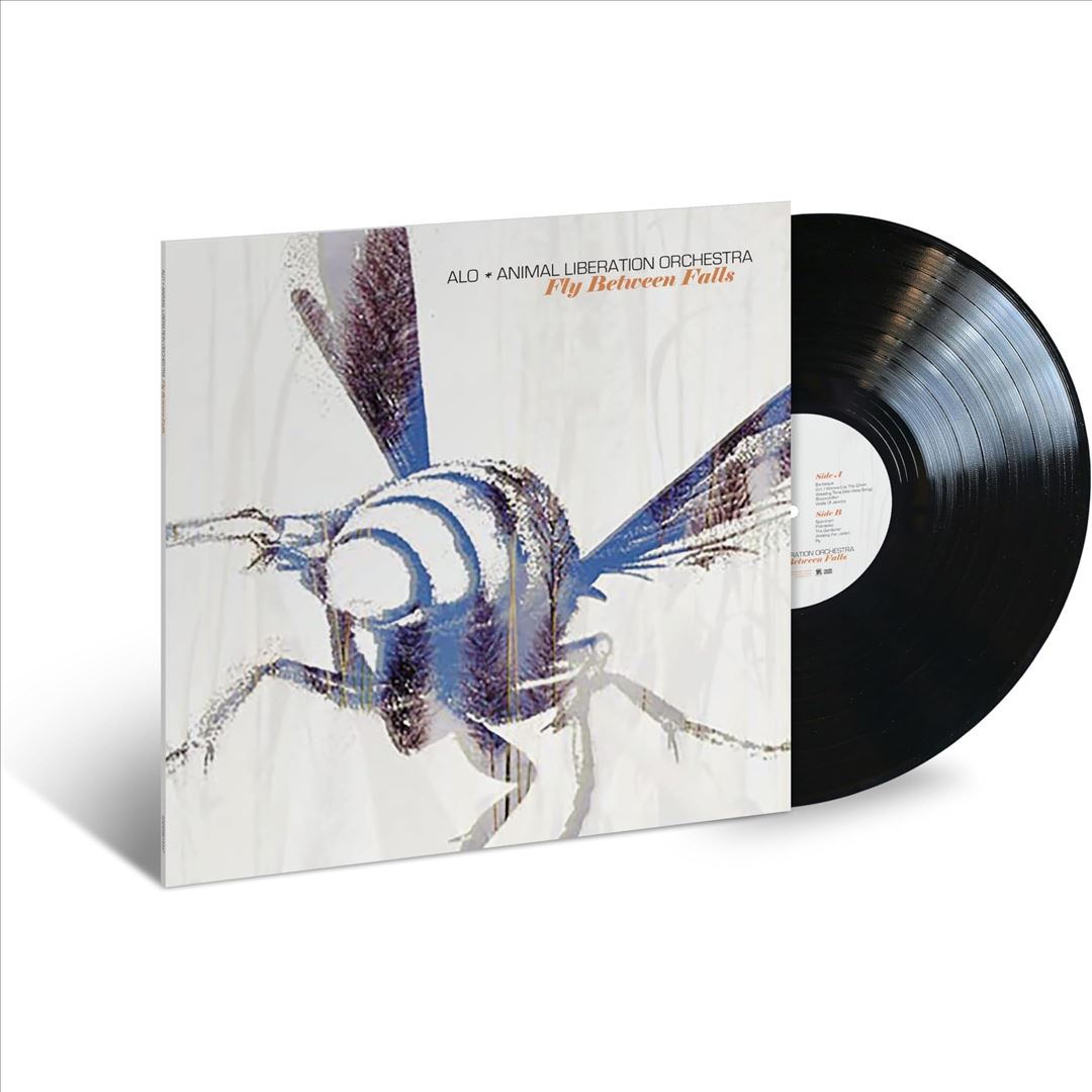 Fly Between Falls cover art