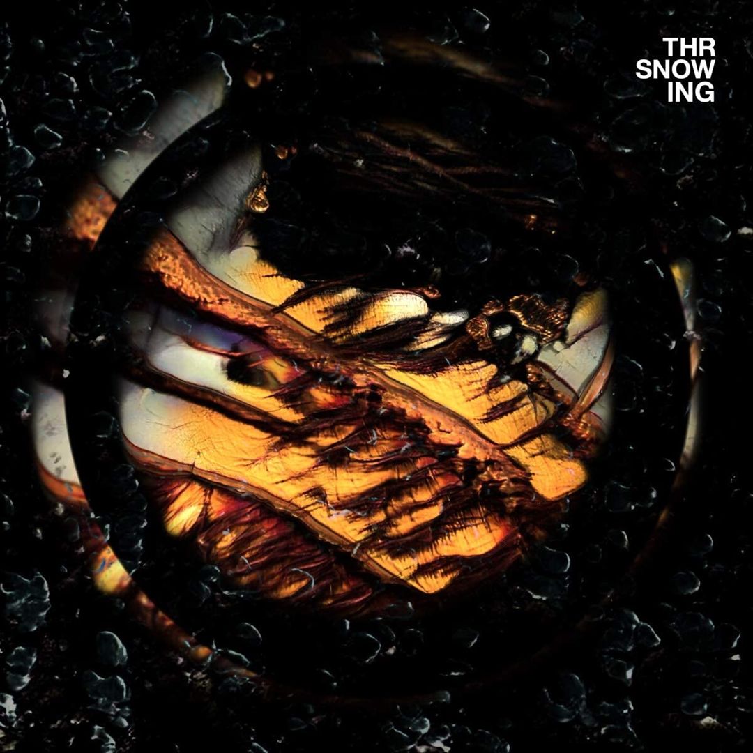 Dragons cover art