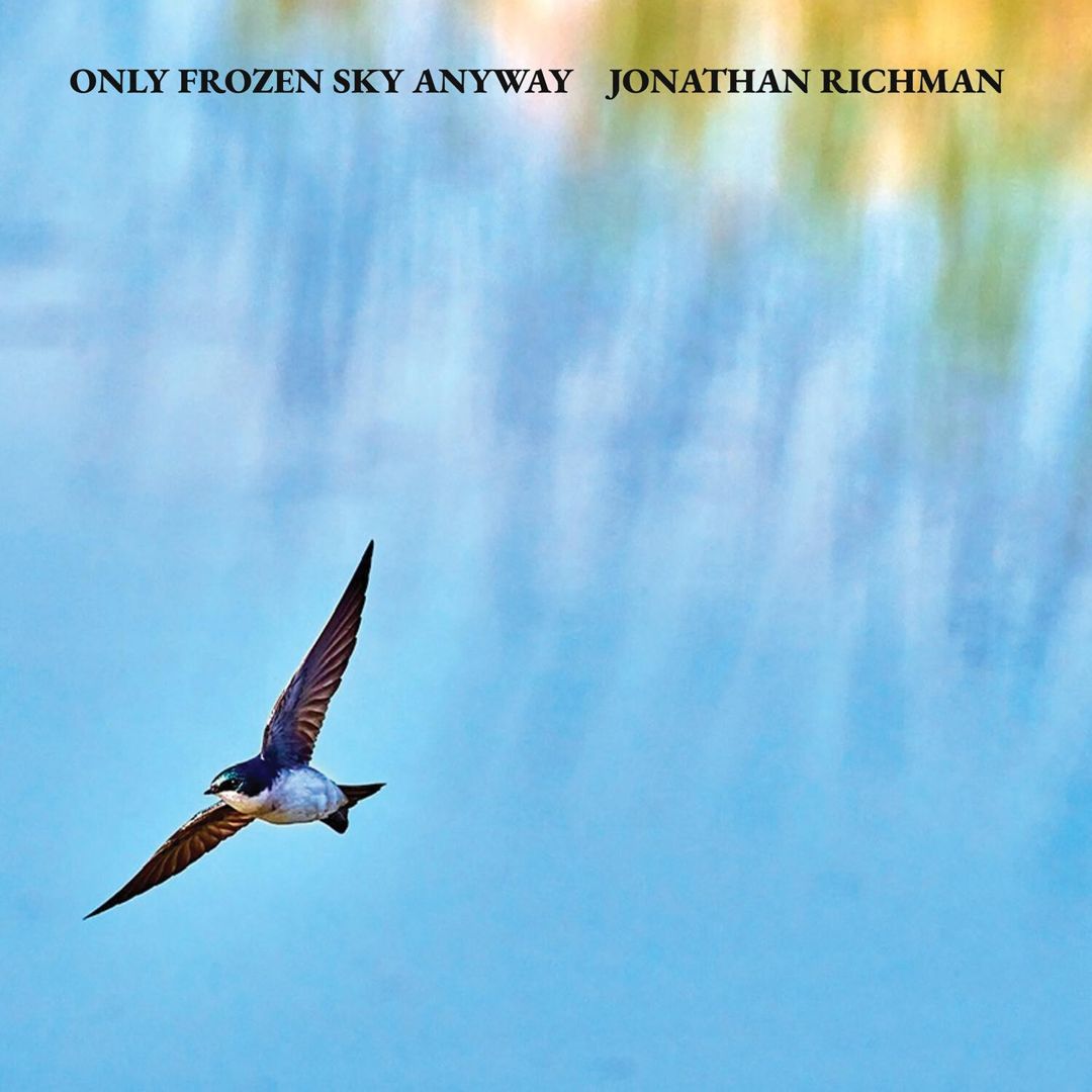 Only Frozen Sky Anyway cover art