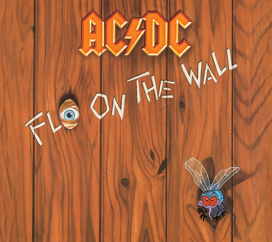Fly on the Wall cover art