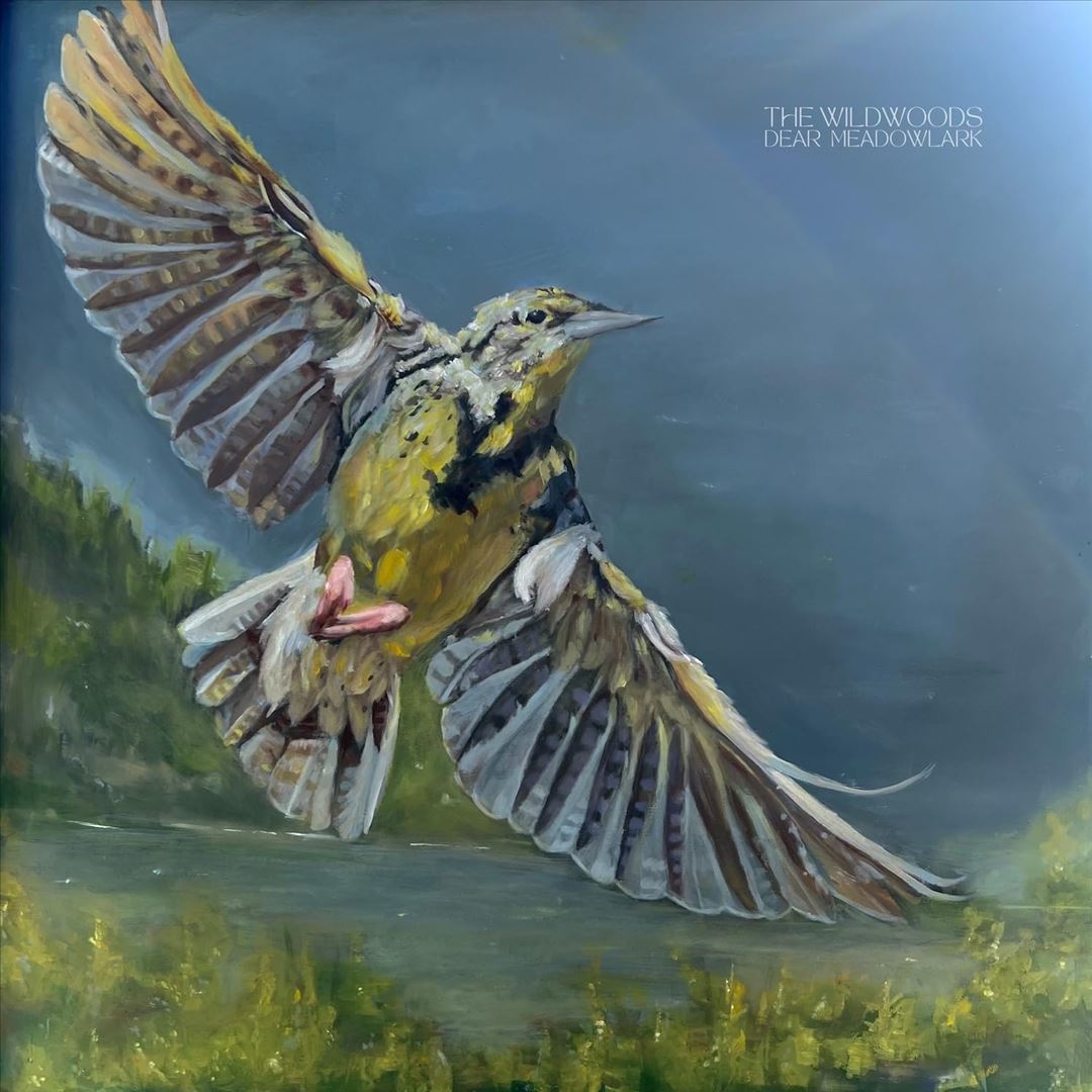 Dear Meadowlark cover art