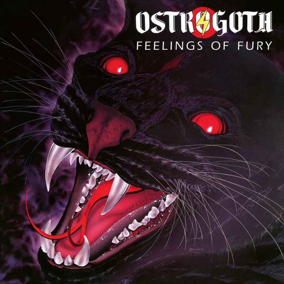 Feelings of Fury cover art