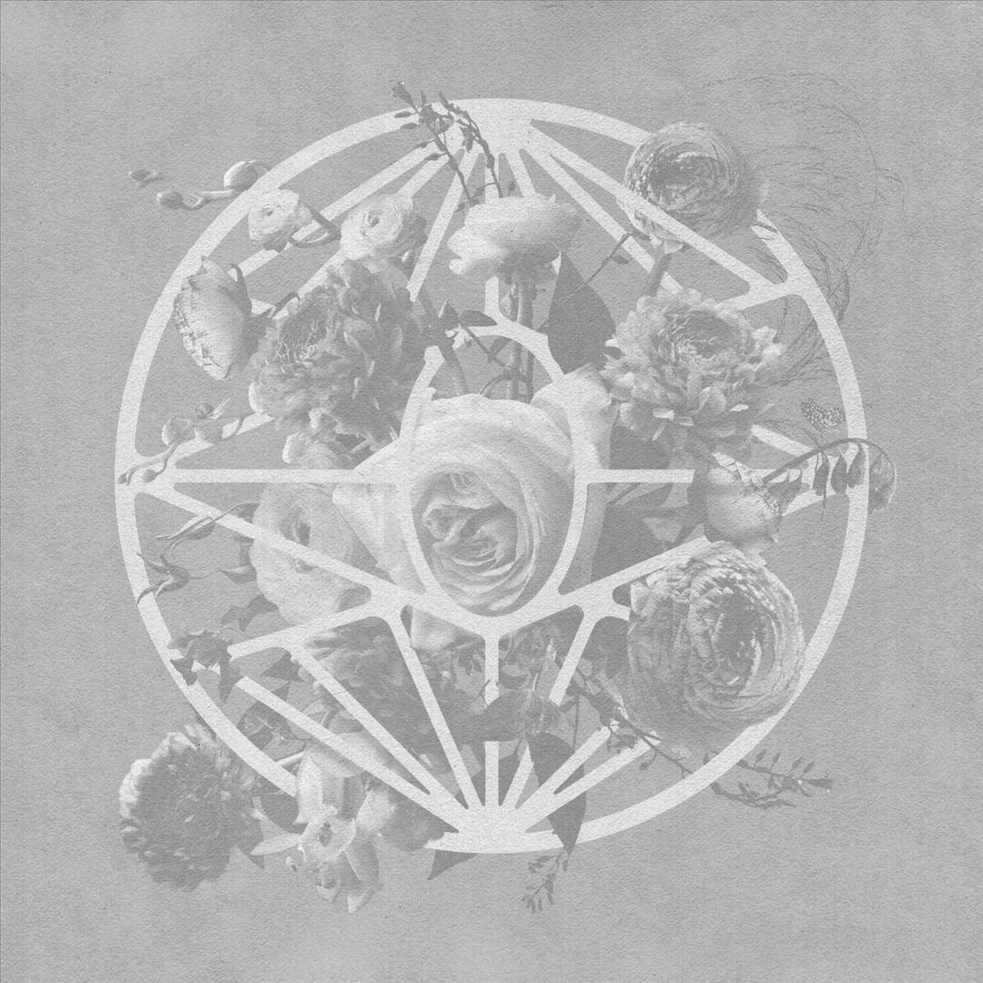 Turn the Light On cover art