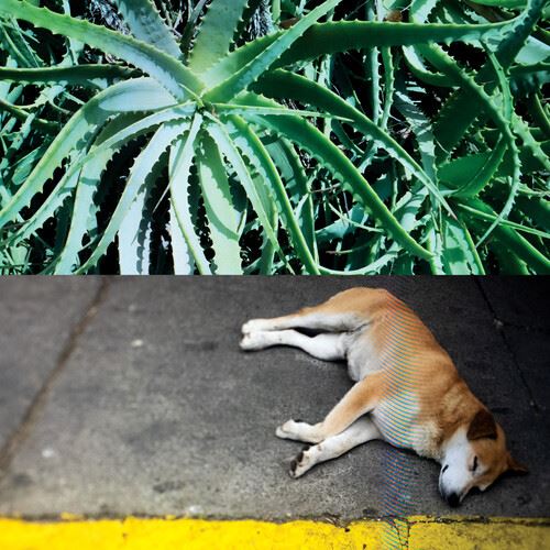 All the Things That Happen cover art