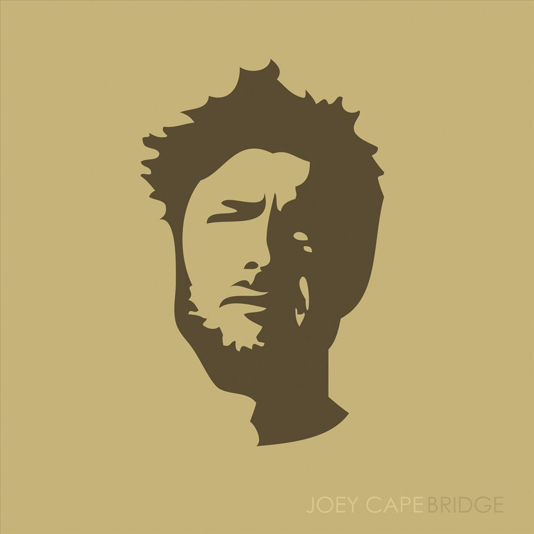 Bridge cover art