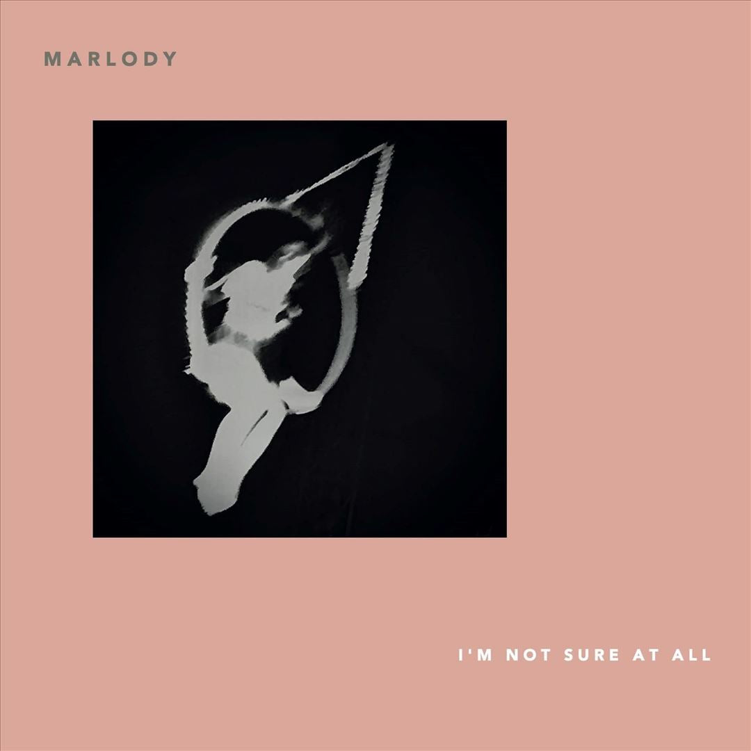 I'm Not Sure At All cover art
