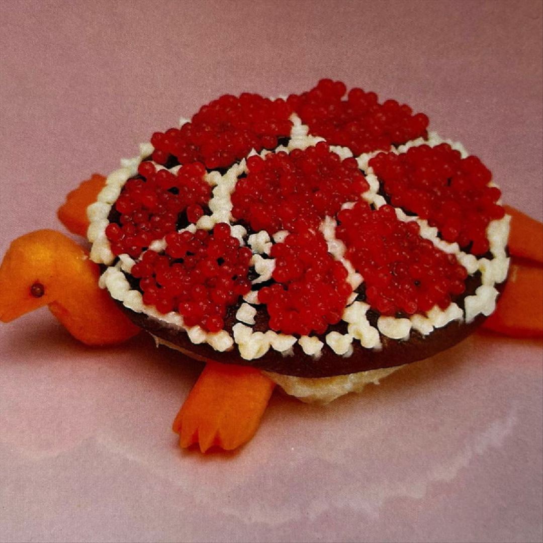 Turtle Rock cover art