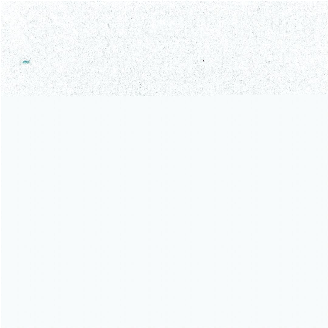 Scream From New York, NY cover art