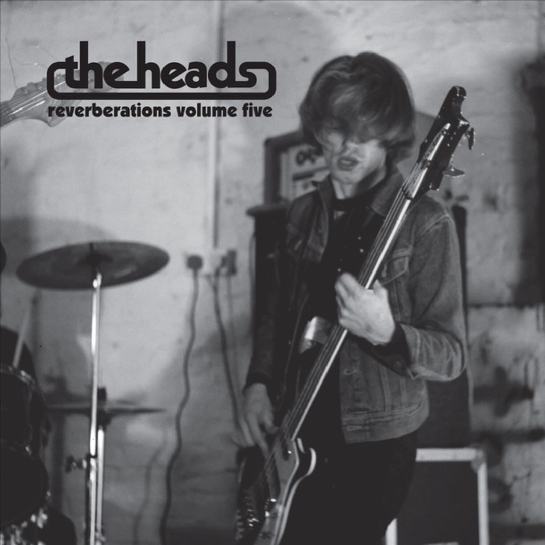 Reverberations, Vol. 5 cover art
