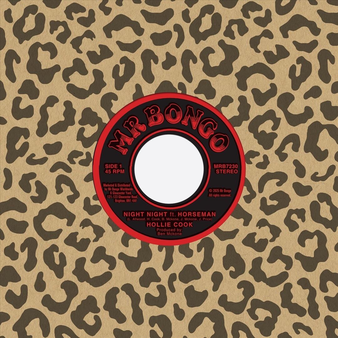 Night Night cover art