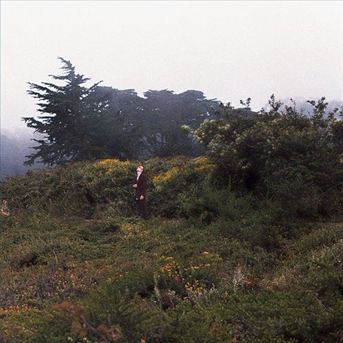 Pattern Completion cover art