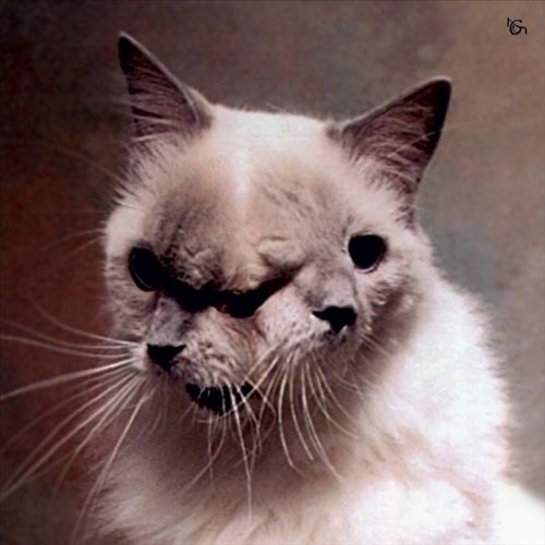 Fille Petrifiee cover art