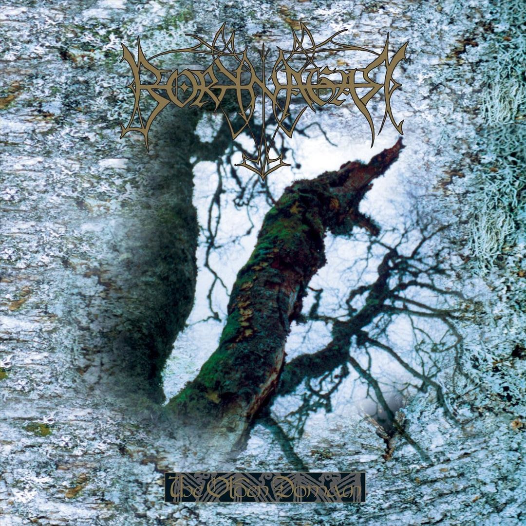 Olden Domain cover art