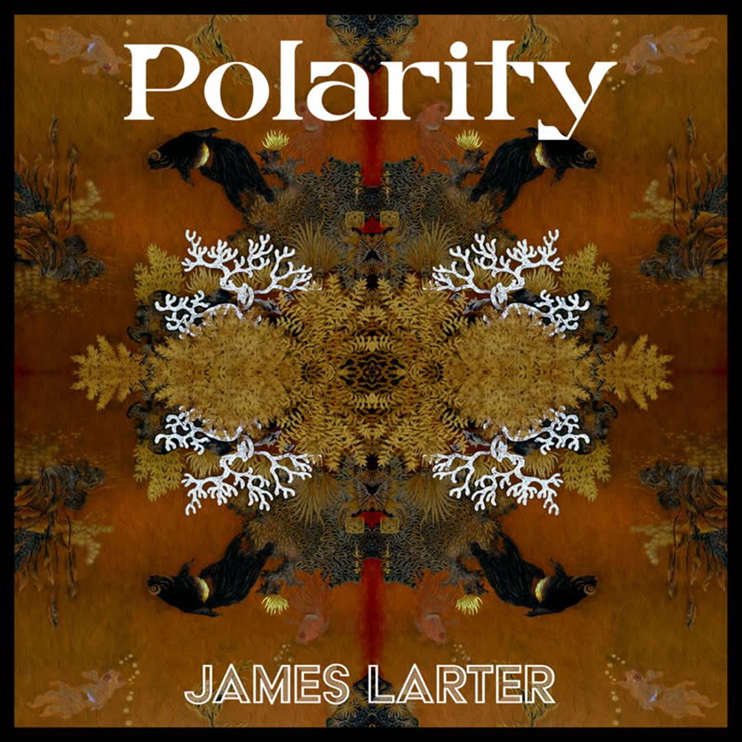 Polarity cover art