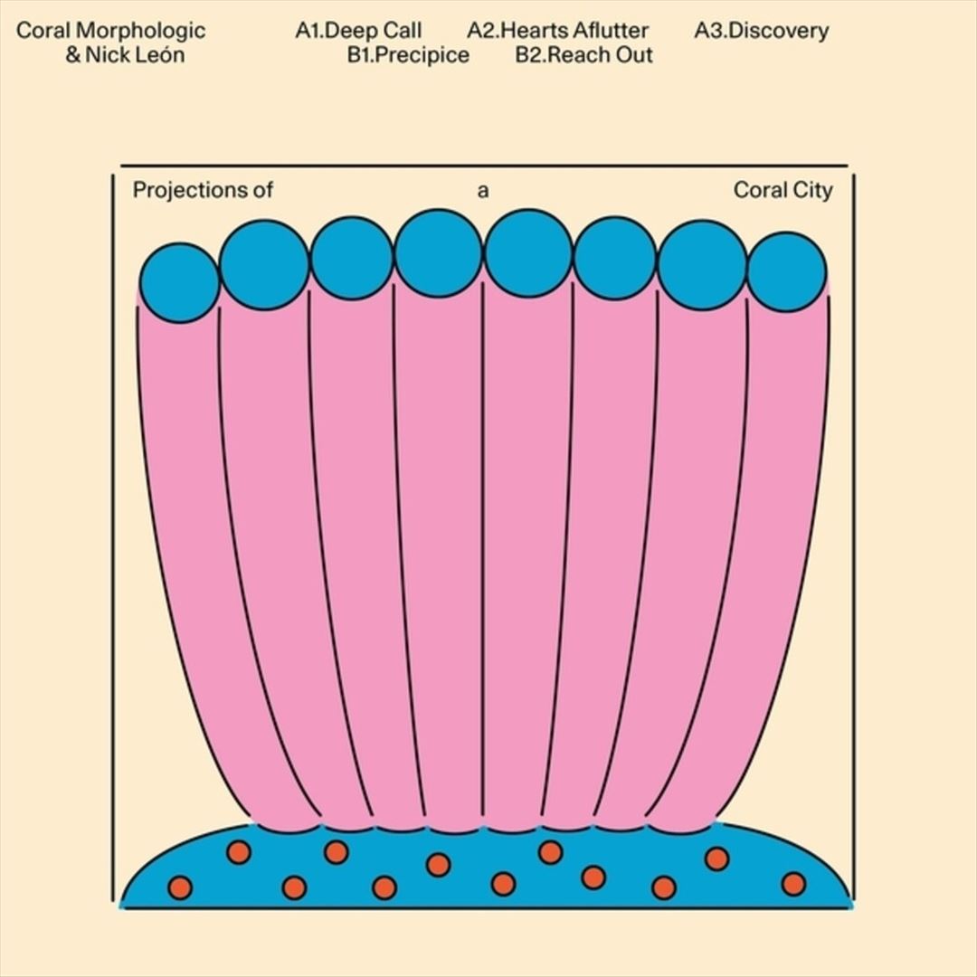 Projections of a Coral City cover art