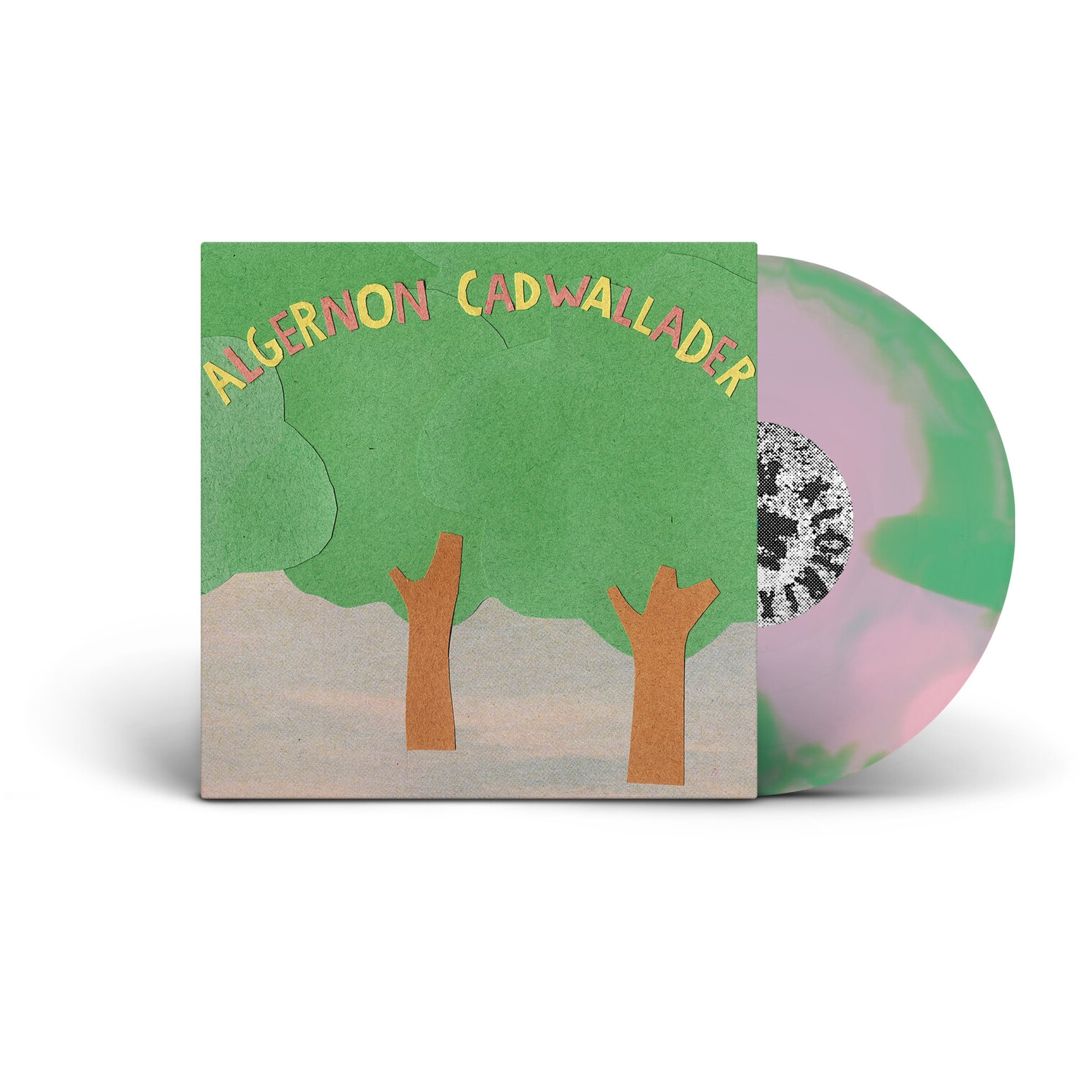 Some Kind of Cadwallader cover art